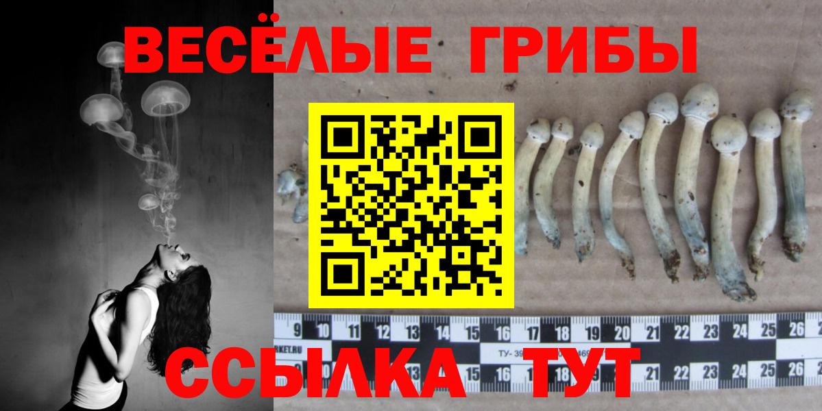 Гусиноозёрск  Галлюциногенные грибы GOLDEN TEACHER  купить наркоту  Псилоцибиновые грибы Magic Shrooms  Вход с VPN 